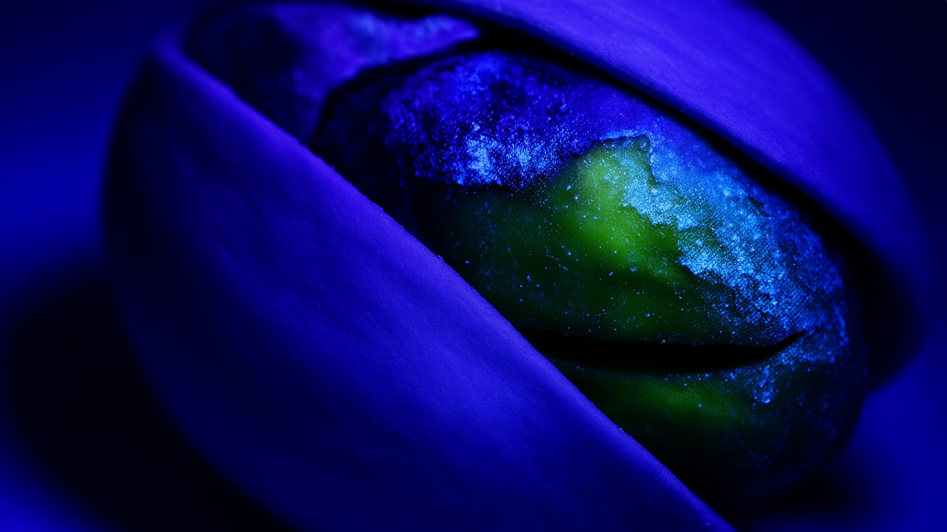 Aflatoxin in Pistachios+test